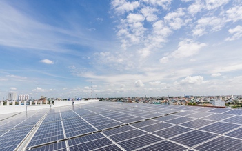 Bộ Công thương phản hồi kiến nghị của 36 nhà đầu tư điện gió, điện mặt trời