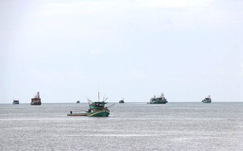 Cà Mau: Tàu cá không đủ điều kiện theo quy định không được ra biển