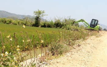 Vì sao dự án đê bao ngăn lũ sông Krông Ana thiếu trăm ngàn khối đất đắp?