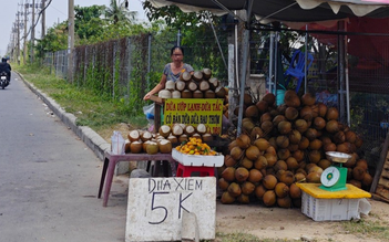 Vì sao giữa mùa nắng nóng giá dừa về đến thành phố chỉ 5.000 đồng/quả?