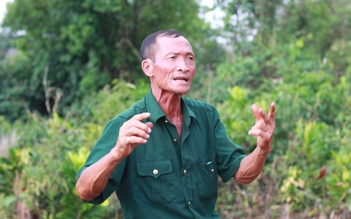 Vụ án 6 cựu chiến binh 'hủy hoại rừng' ở Đắk Nông: Hội Cựu chiến binh Việt Nam làm việc với 6 hội viên