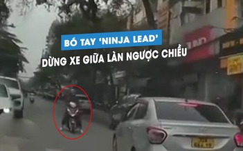 'Ninja Lead' vô tư dừng chờ đèn đỏ giữa đường, trên làn đường ngược chiều
