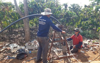 Hàng ngàn héc ta cây trồng bị thiệt hại do hạn hán