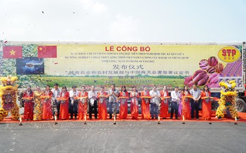 Chuyến hàng khoai lang đầu tiên xuất khẩu chính ngạch sang Trung Quốc