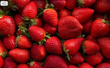 Nghiên cứu chứng minh ăn loại trái cây này giúp giảm nguy cơ mắc bệnh tiểu đường