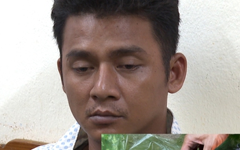 Bắt 24 nghi phạm cướp giật trong đêm khai trương hè Sầm Sơn