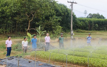 Tín dụng chính sách tiếp sức cho Tân Kỳ giảm nghèo bền vững