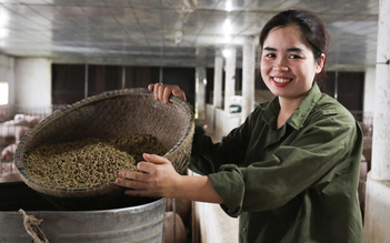 Nữ nhân viên y tế khởi nghiệp với heo thảo dược