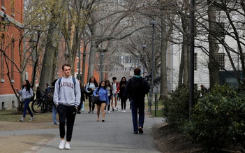 Học bổng giúp học sinh Việt Nam được nhận vào Harvard, Princeton, Stanford