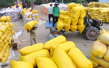 El Nino khiến xuất khẩu gạo Việt Nam tăng gần gấp đôi