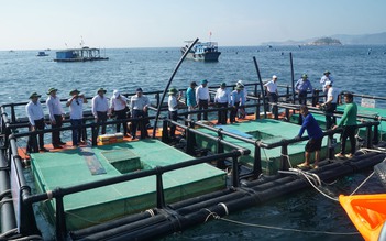 Lần đầu tiên Khánh Hòa thí điểm mô hình nuôi lồng HDPE tại khu vực biển hở