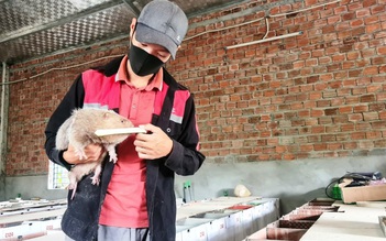 Thu hàng trăm triệu đồng nhờ con 'ăn đêm ngủ ngày'