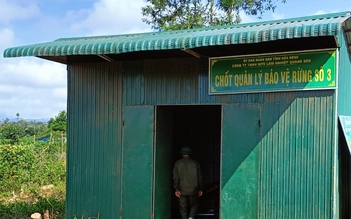 Đắk Nông: Xác minh vụ chốt bảo vệ rừng bị bắn vỡ cửa kiếng