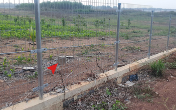 Đồng Nai: Công trình hàng rào kiên cố bao chiếm hồ Trị An