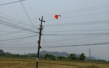 Thả diều gây sự cố lưới điện trên địa bàn tỉnh Bình Định