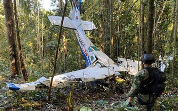 Colombia nói 4 em bé rơi máy bay còn sống, tiếp tục tìm trong rừng Amazon