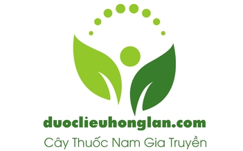 Những cây thuốc nam tốt cho sức khỏe tại Dược liệu Hồng Lan