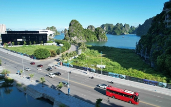 Đề nghị hỗ trợ chủ đầu tư khu đất vàng bỏ hoang ở Hạ Long