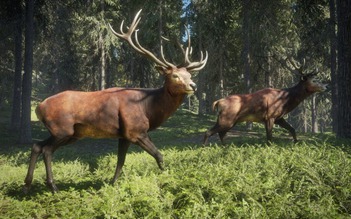 Epic Games Store sắp tặng miễn phí một tựa game săn bắn nổi tiếng