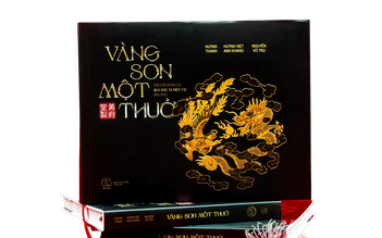 Sách hay: 'Vàng son một thuở...', từ sưu tập tư nhân vào sách