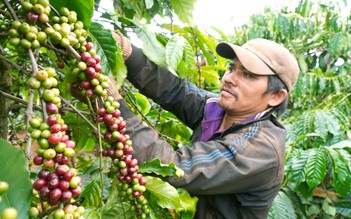 Gia Lai: Tín hiệu vui về hoạt động thương mại