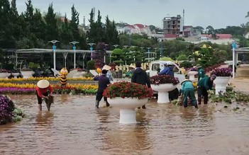 Mưa lớn tại Đà Lạt, vườn hoa thành phố chìm trong biển nước