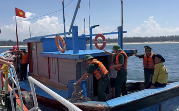 Quảng Ngãi: Tạm giữ 2 tàu cá khai thác giã cào tận diệt thủy sản