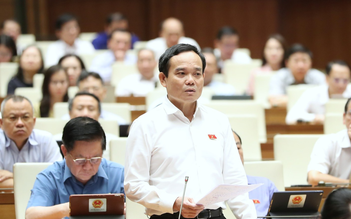 Phó thủ tướng Trần Lưu Quang: 'Quy trình của chúng ta thì rất lằng nhằng'