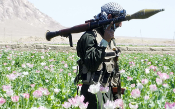 Taliban thành công cấm trồng cây thuốc phiện ở Afghanistan