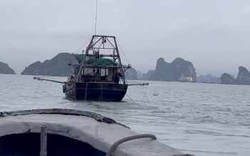 Biên phòng Quảng Ninh đồng loạt bắt giữ 'hung thần đại dương'

