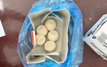 Kết quả giám định 5 quả trứng nữ du khách vận chuyển ở Côn Đảo là trứng vích