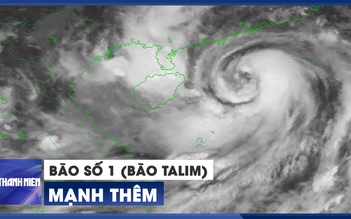 KHẨN CẤP: Bão số 1 (bão Talim) giật cấp 14, sẽ còn mạnh thêm