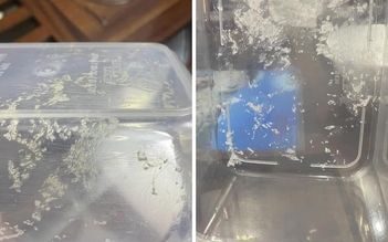 Cách dùng hộp nhựa an toàn trong lò vi sóng