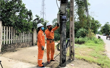 Điện lực Quảng Trị: Tăng cường giám sát, hạn chế nạn trộm điện