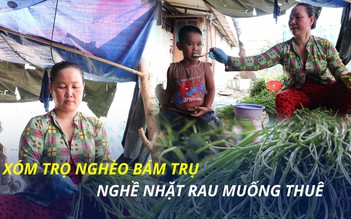 Xóm nghèo nhặt rau muống thuê: Vừa chăm con vừa nhặt rau, ngủ gục như cơm bữa