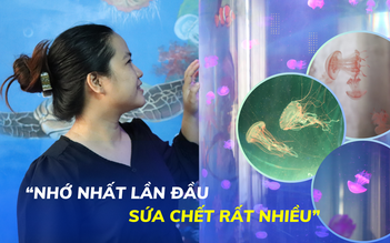Đẹp mê hồn sứa mini đổi màu: Đầu tư trăm triệu, xây phòng nuôi làm cảnh
