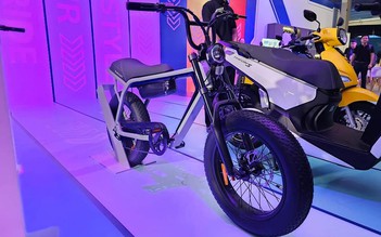 Xe đạp điện VinFast lộ diện tại Việt Nam