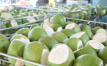 Việt Nam có thể xuất khẩu dừa tươi ngay lập tức sang Mỹ