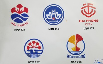 Tác phẩm dự thi biểu tượng Hải Phòng bị biến thành logo câu lạc bộ bơi
