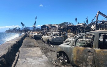 80 người chết trong vụ cháy rừng ở Hawaii, cả thị trấn bị tàn phá