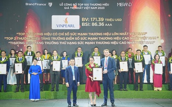 Vinpearl - thương hiệu tăng trưởng thứ hạng sức mạnh thương hiệu cao nhất Việt Nam
