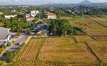 Quán cà phê 'hút' hàng trăm bạn trẻ nhờ... cánh đồng lúa