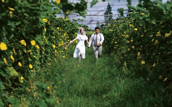 Cặp đôi miền Tây chụp ảnh cưới 'không đụng hàng', rạng rỡ giữa vườn mướp, luống hành...