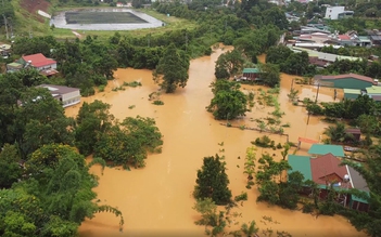 Mưa lũ ở Đắk Nông: 1 người tử vong, hàng trăm héc ta cây trồng bị ngập