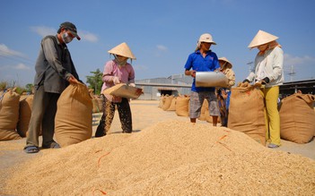 Giá gạo tăng cao nhưng công ty xuất khẩu gạo bất ngờ báo lỗ