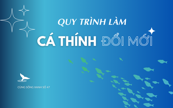 Cùng sống xanh số 47: Đường biến miếng cá thính bé xíu ăn 3 bát cơm thành đặc sản trên bàn tiệc