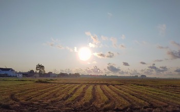 Mắt thấy, tai nghe, trái tim cảm nhận luôn mang lại những điều chân thực nhất!