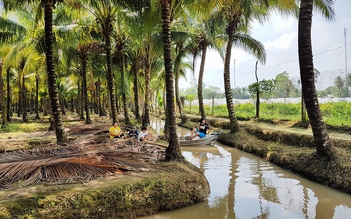 Hòn đảo thần tiên và những câu chuyện thú vị tại cù lao Tân Lộc