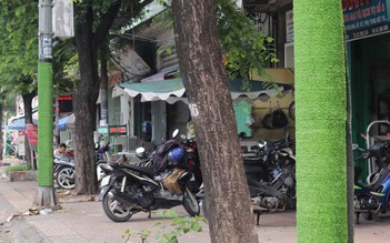 Ốp cỏ cột điện chống quảng cáo 'bẩn' ở TP.HCM: Chính quyền nói gì khi nạn dán chui vẫn lộng hành?