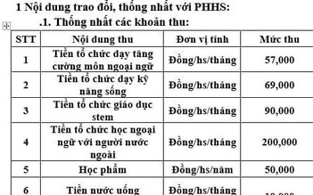 Chèn môn 'tự nguyện' vào chính khóa: Nếu sai Bộ GD-ĐT chấn chỉnh thế nào?